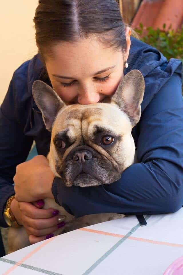 mi perro huele mal como saber de donde viene el mal olor