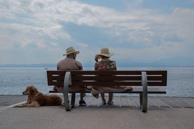 paseos al aire libre con tu perro son saludables