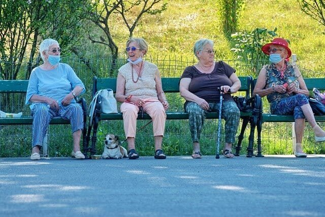 perrita con necesidad baja de actividad fisica