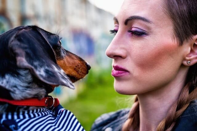 perro dachshund con su duena como entrenarlos para estar con ninos pequenos