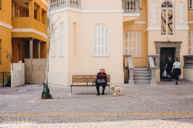 perro y duena juntos en la ciudad