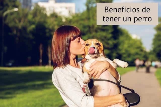 9 Beneficios de Tener Un Perro