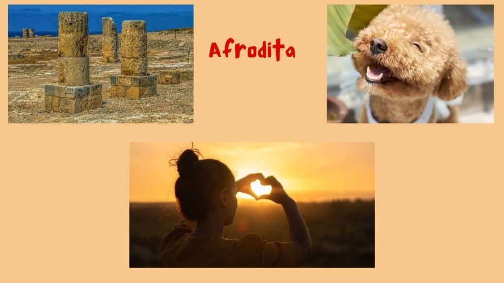 nombres-para-perros-en-griego Afrodita