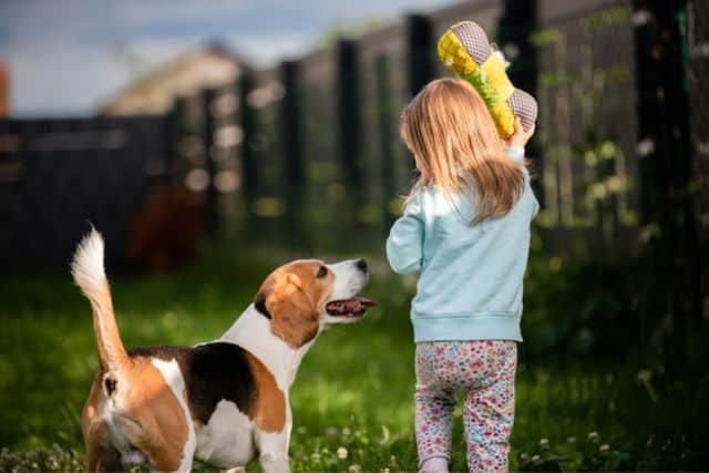 ninos jugando con perros