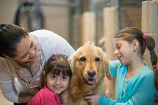 golden retriever con su familia y ninos