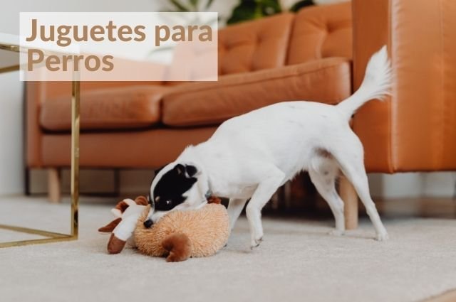 juguetes para perros